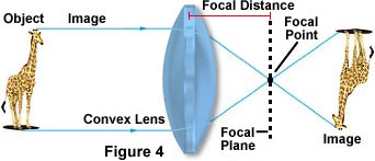 convex lens3