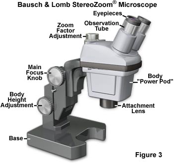 stereozoom