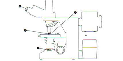 尼康顯微鏡基本結構