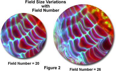 fieldofview figure2