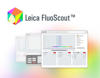 lsl-article-image-fluoscout