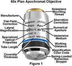 PLAN APO 60X DIC M.jpg