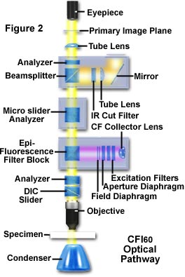 innovations figure2