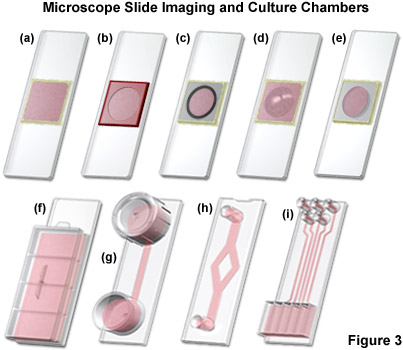 chambers figure3